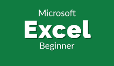An Introduction to Microsoft Excel Using Coauthoring