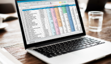 Common Functions, Pivot Tables & Conditional Formatting
